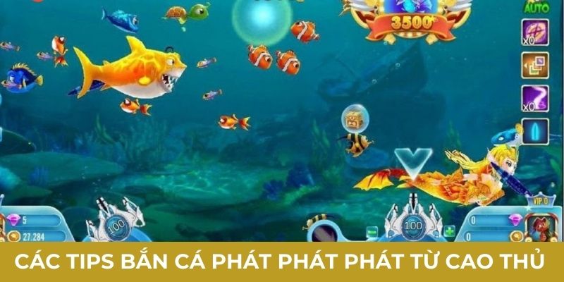 Các tips bắn cá phát phát phát từ cao thủ