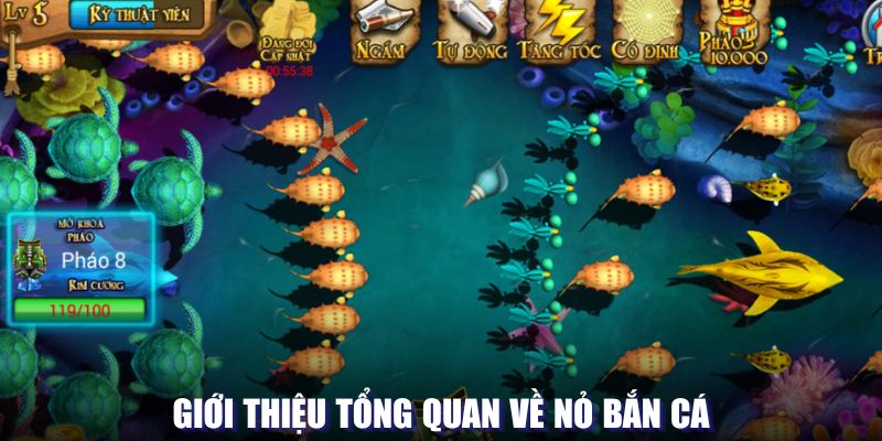 Giới thiệu tổng quan về nỏ bắn cá