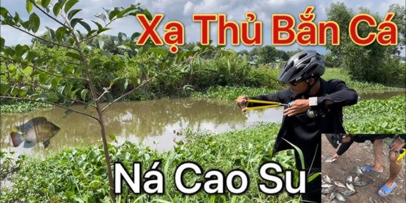 Cách ngắm chuẩn nhất