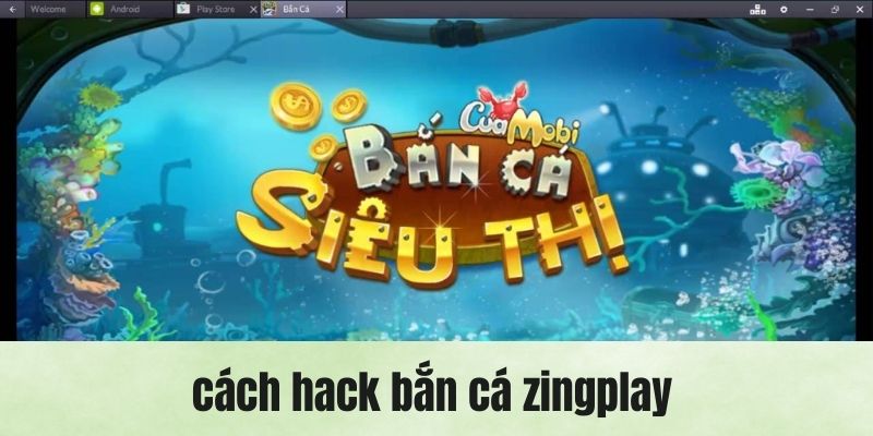 Đánh giá những cách hack bắn cá zingplay hiện nay