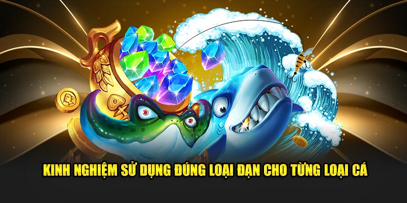 Kinh nghiệm sử dụng đúng loại đạn cho từng loại cá