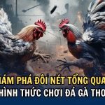 Cược Đá Gà Giải Thomo – Công Thức Chiến Thắng Cho Tân Binh